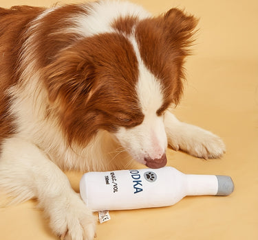 Vodka-Flasche-Hundespielzeug